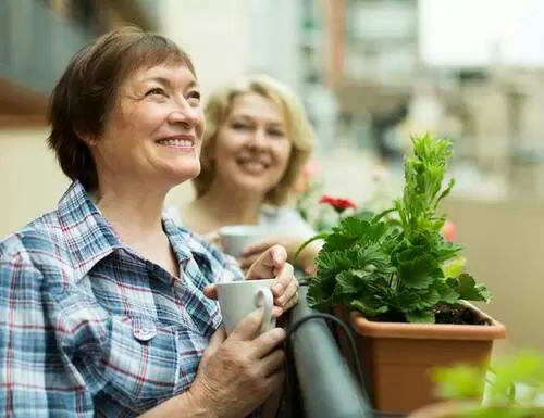¿Son las amigas la clave de la felicidad en las mujeres mayores?