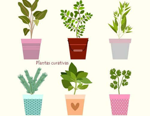10 plantas curativas que puedes encontrar en tu jardín