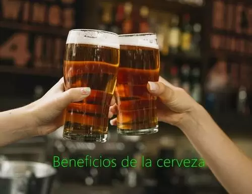 Beneficios de la cerveza