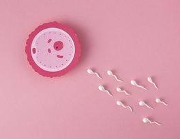 Ovulación y Omifin para lograr el embarazo